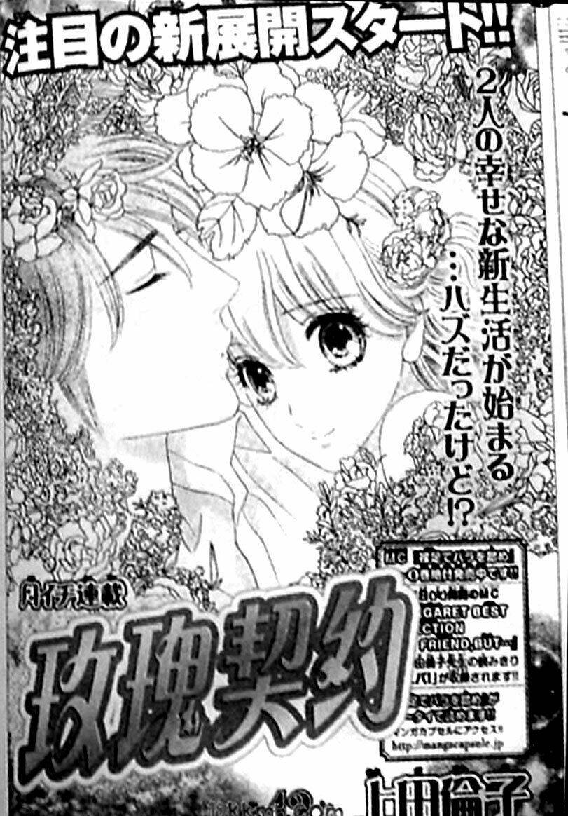 hoa hồng đỏ chapter 42 1