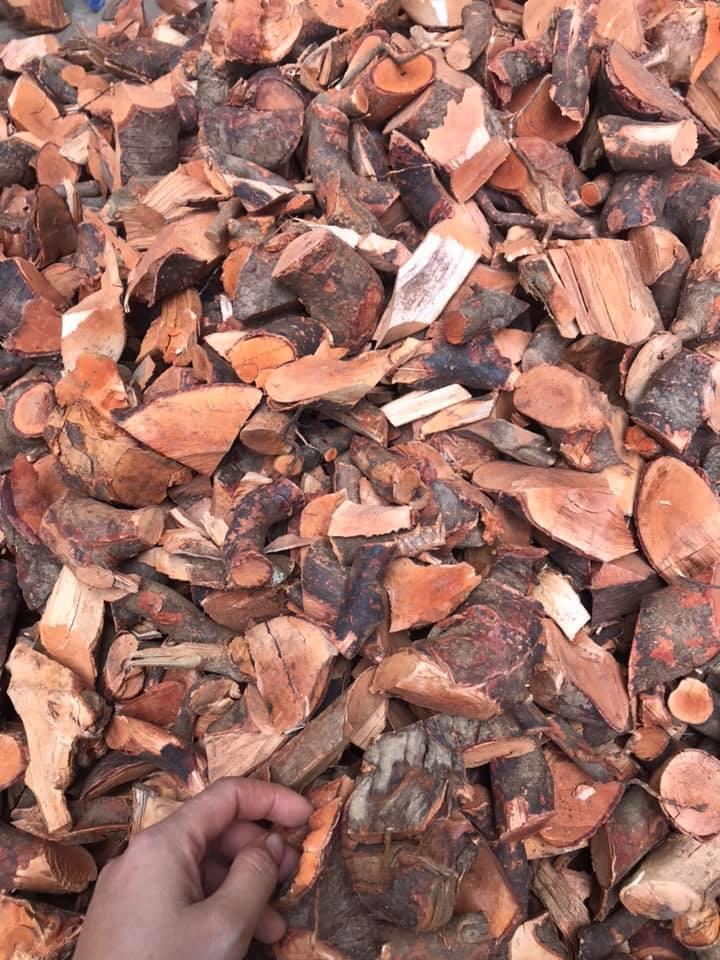 Cây Mú Từn - Cù boong nậu - Rể Khô 1kg