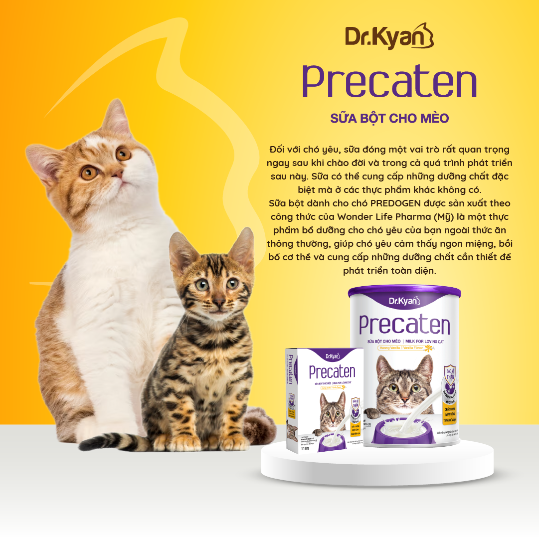 Sữa bột Dr Kyan Precaten cho mèo hộp 110g