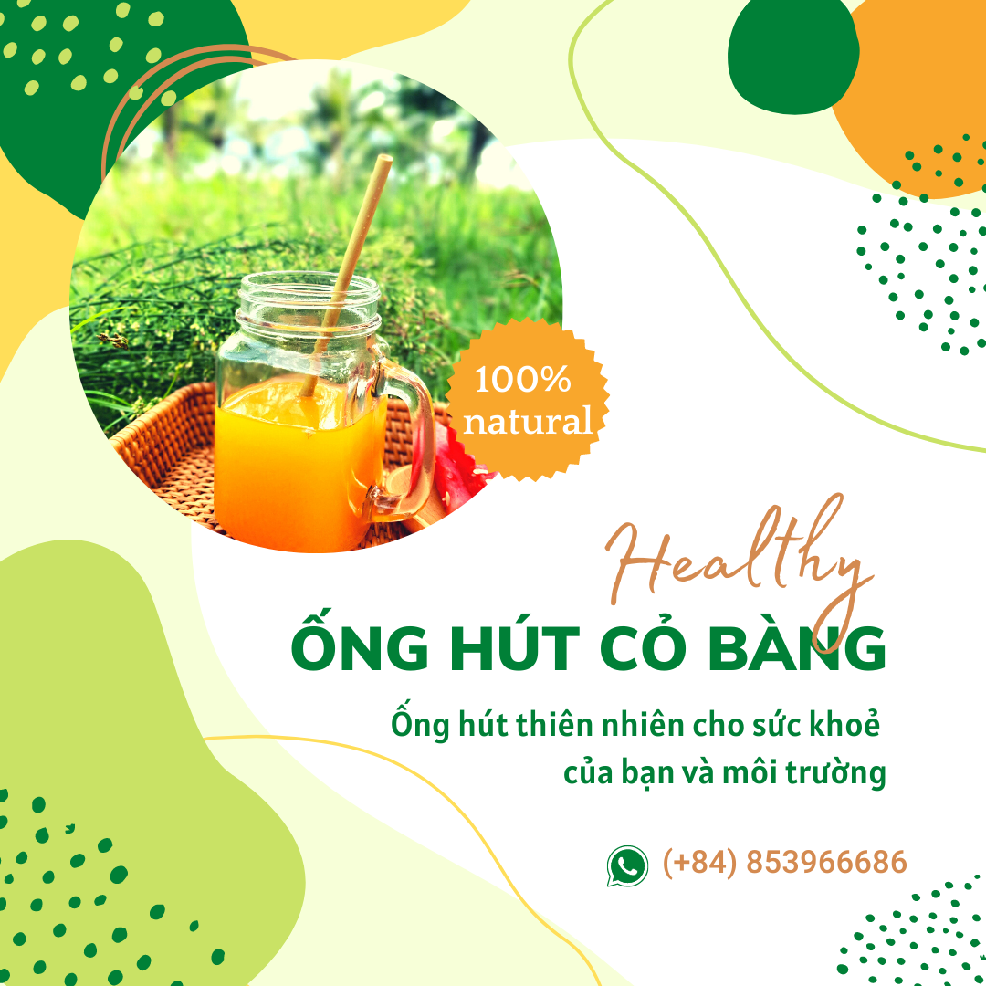 [Bảo hành ẩm mốc 12 tháng] Combo 3 hộp 100 ống hút cỏ bàng khô Ecozone 20cm tiêu chuẩn xuất khẩu - Grass straw Việt Nam