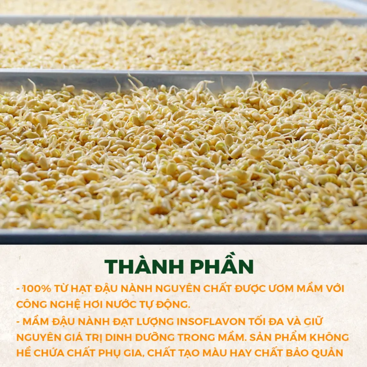Mầm Đậu Nành Nguyên Xơ (MS) Tăng Vòng 1, Cải Thiện Nội Tiết Phụ Nữ (500g)