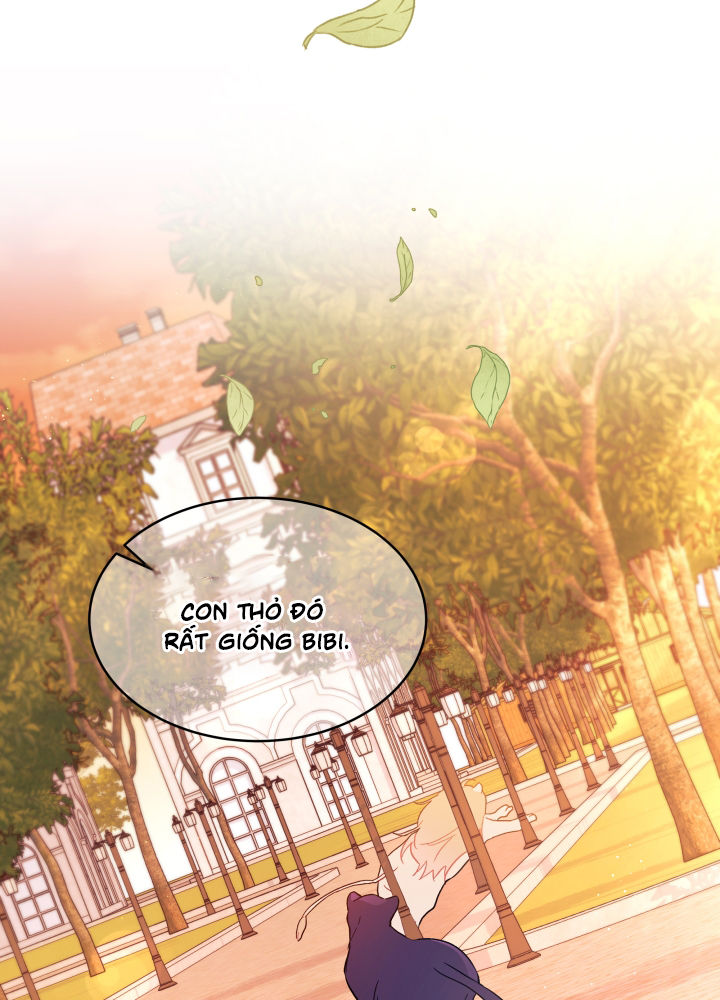 mối liên kết giữa báo đen và bé thỏ chapter 33 99