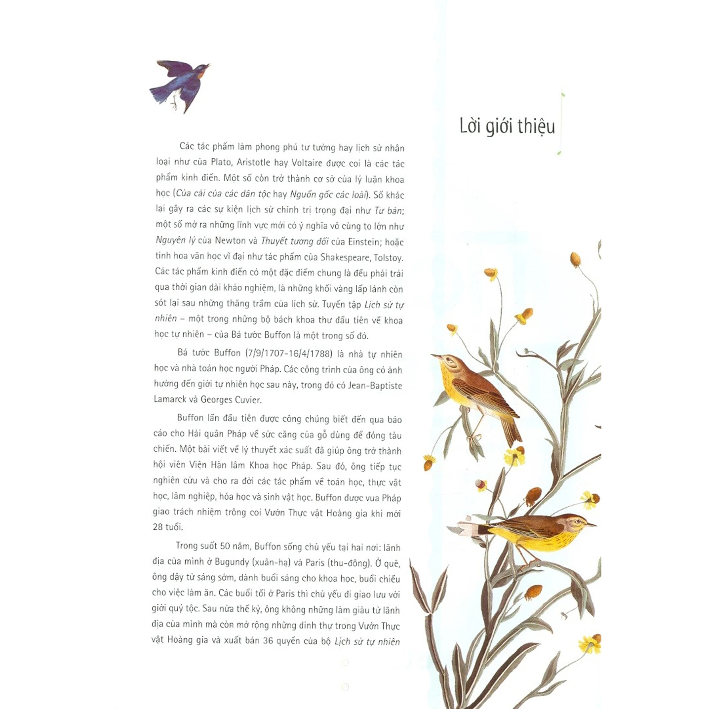 Sách Tri Thức Kinh Điển Bằng Tranh - Lịch Sử Tự Nhiên