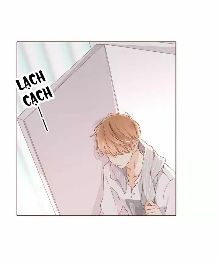 Tình yêu là màu hoa anh thảo chapter 30.2 36