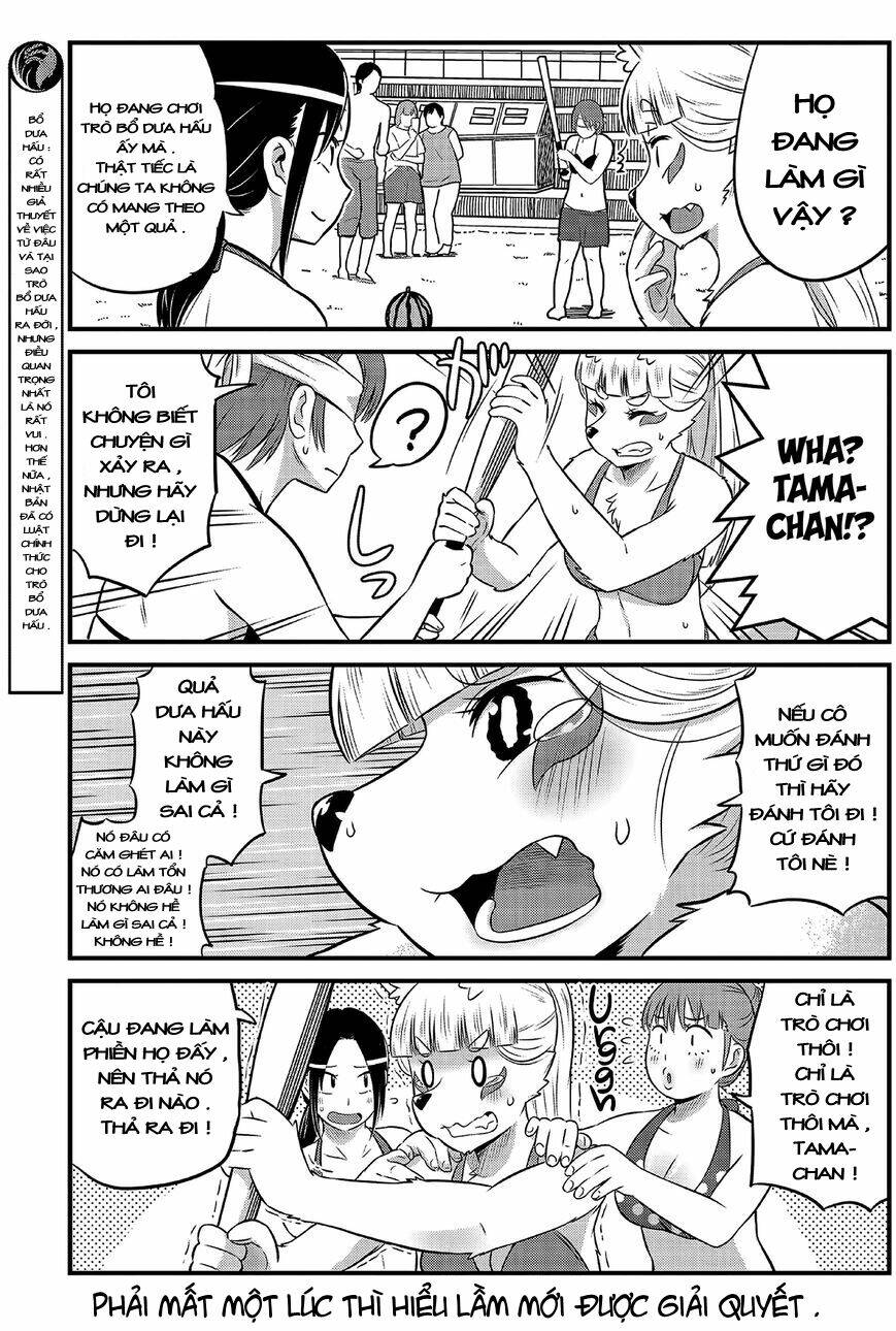 high school inari tamamo-chan ! chapter 15 6
