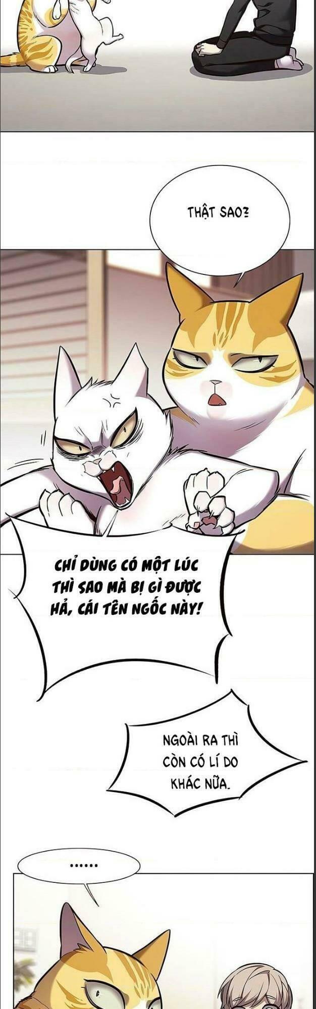 biến thân thành mèo chapter 156 3