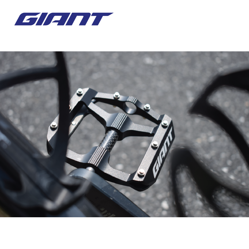 BÀN ĐẠP GIANT – HILL CARBON