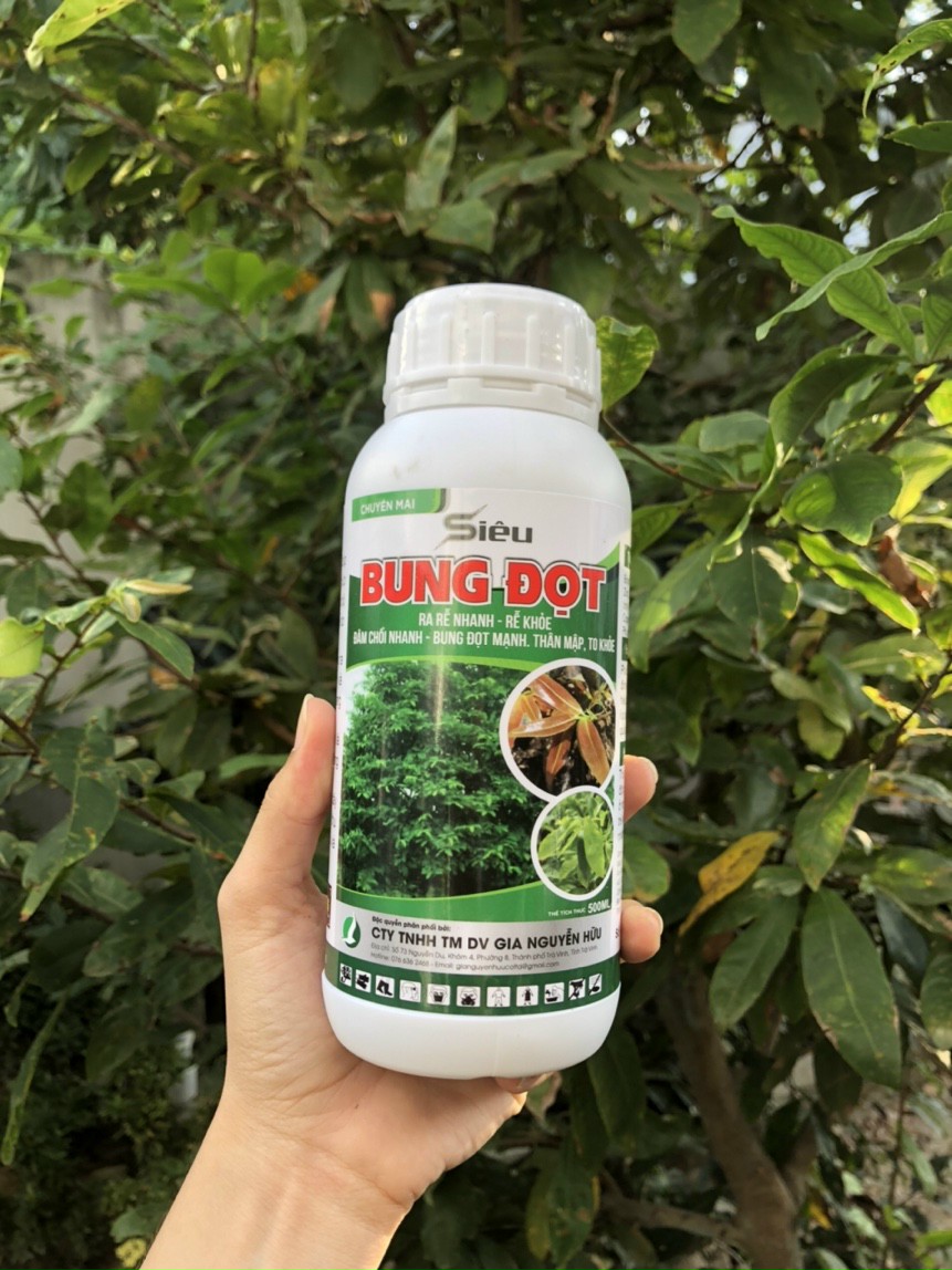 PHÂN BÓN SIÊU BUNG ĐỌT, RA RỄ CỰC MẠNH CHUYÊN MAI VÀNG/CÂY KIỂNG CHAI 500 ML