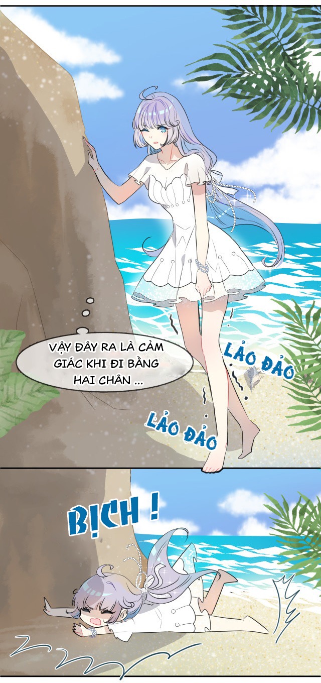 bộ váy của nàng tiên cá chapter 1 14