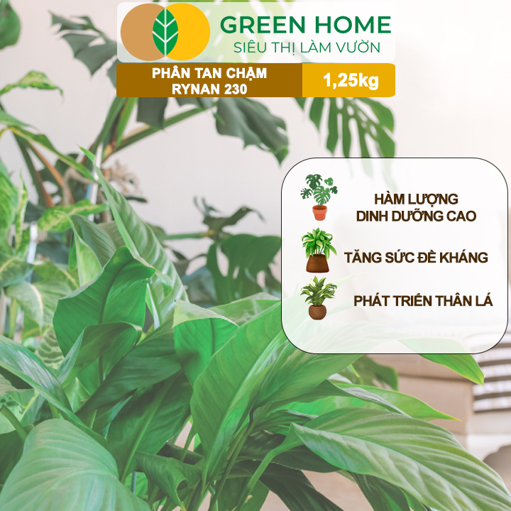 Phân Tan Chậm Greenhome, Rynan 230, Hũ 1,25kg, Chuyên Kiểng Lá, Dưỡng Lá Xanh, Sinh Trưởng Khoẻ