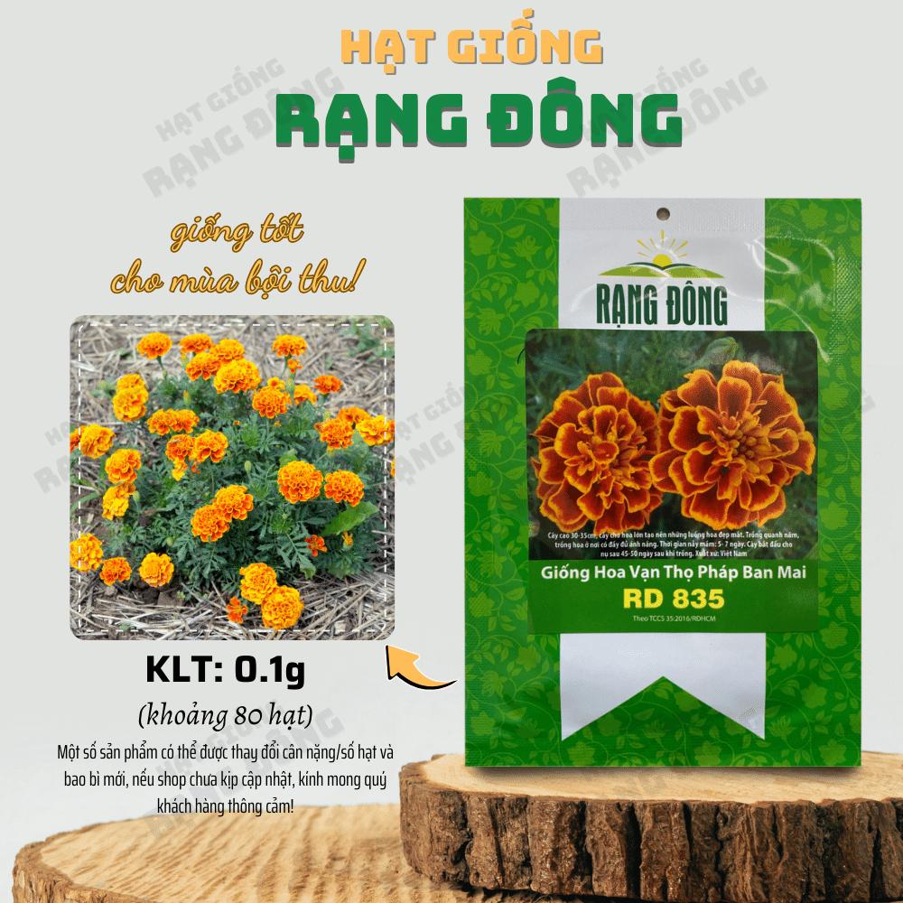 Hạt giống Hoa Cúc Vạn Thọ Pháp Ban Mai Rd 835 (0,1g~80 hạt) thân cao 30-35cm, thích hợp trồng chậu - Hạt giống Rạng Đông