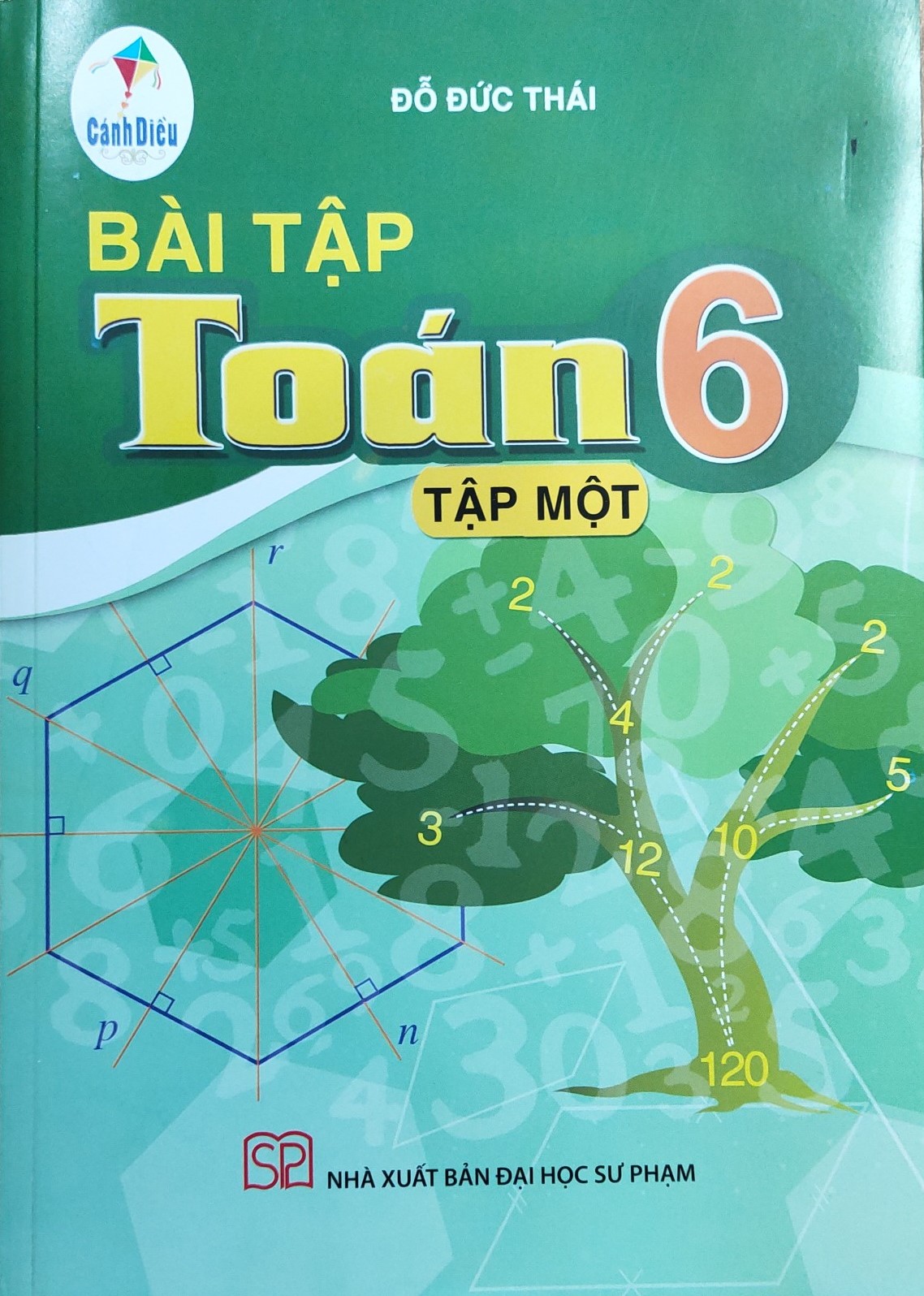 Bài tập Toán lớp 6 Tập 1 (Bộ Cánh Diều)