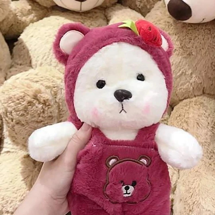 Gấu bông Teddy mặc yếm - Size 30cm - Áo có thể cởi ra - Quà tặng gấu bông gấu dâu mặc yếm