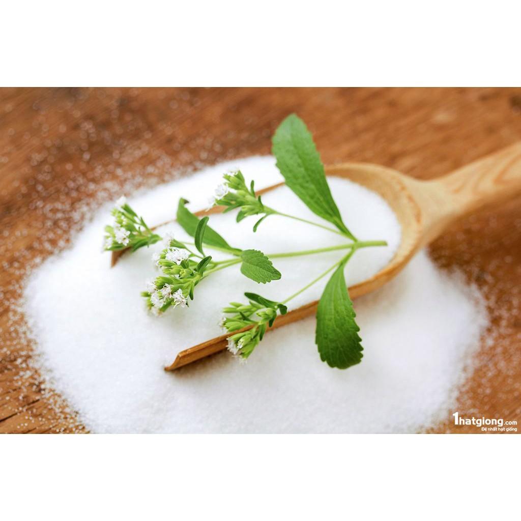 Hạt giống cỏ ngọt 5 Hạt