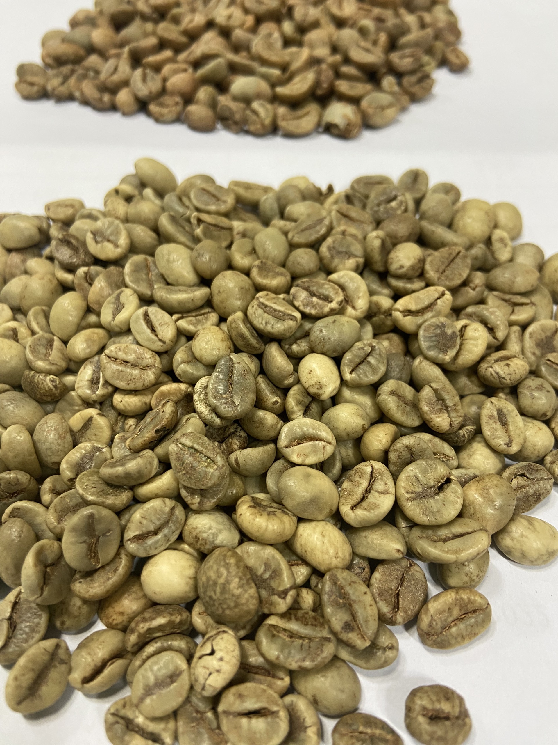 Cà Phê Arabica Hạt Rang S16 - Chế Biến Ướt - ZeMor Coffee