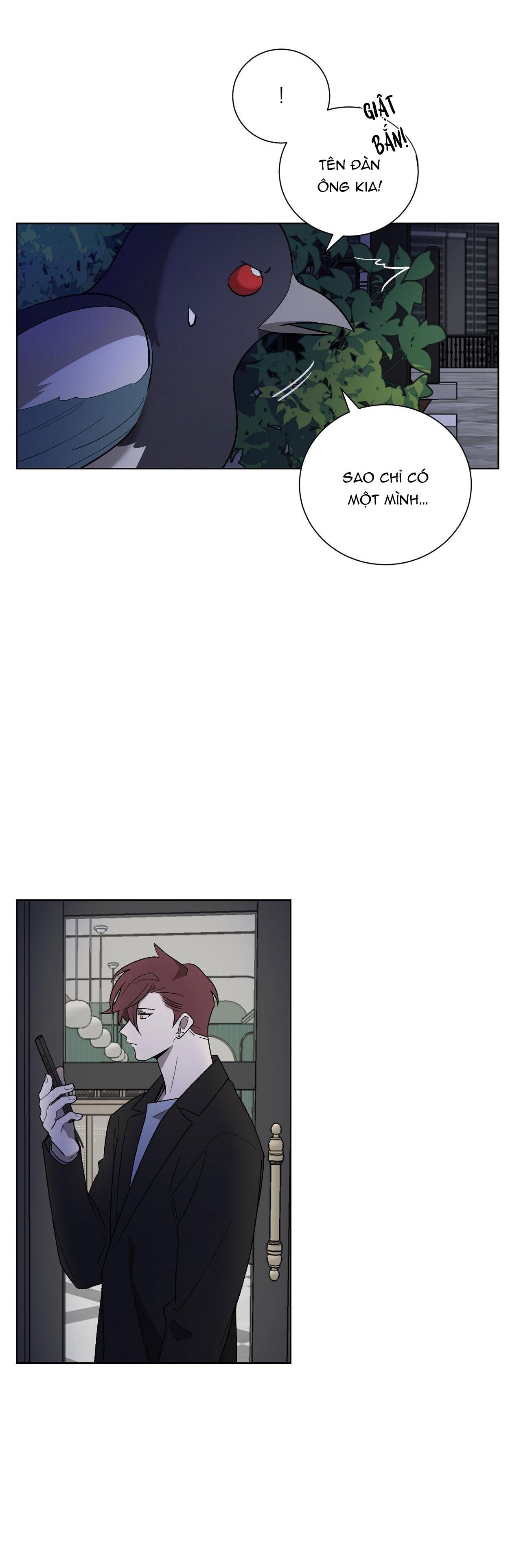 khi chim thước đến chapter 11 27