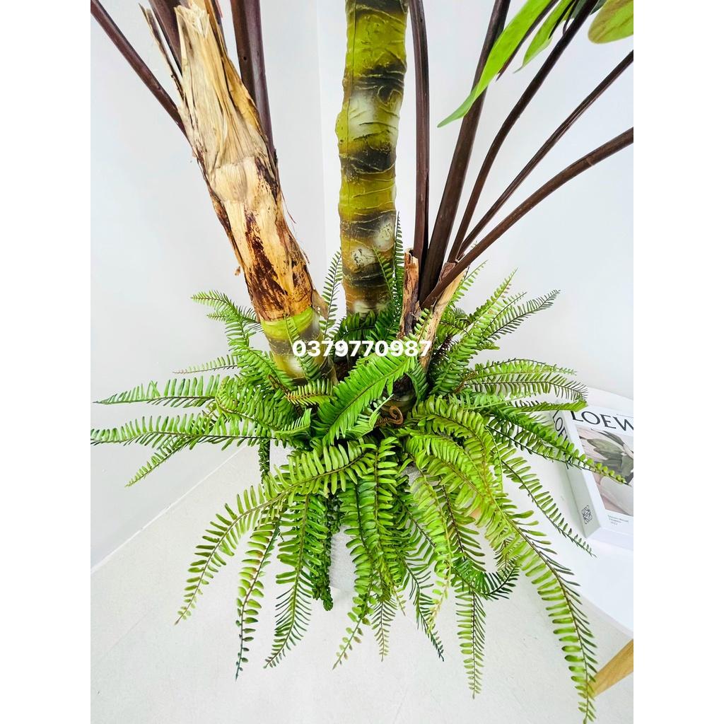 Cây khoai nước giả decor cao cấp