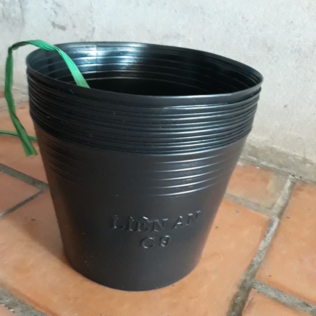 500 Chậu nhựa C8 19x16cm trồng cây ăn trái và hoa,bền 10 năm-77102