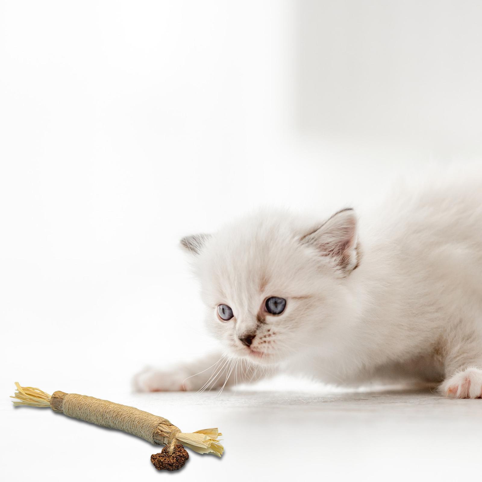 Cats Chew Toys Kitty Kitten Holding Cleaning Licking Snacks Pet Supplies Care