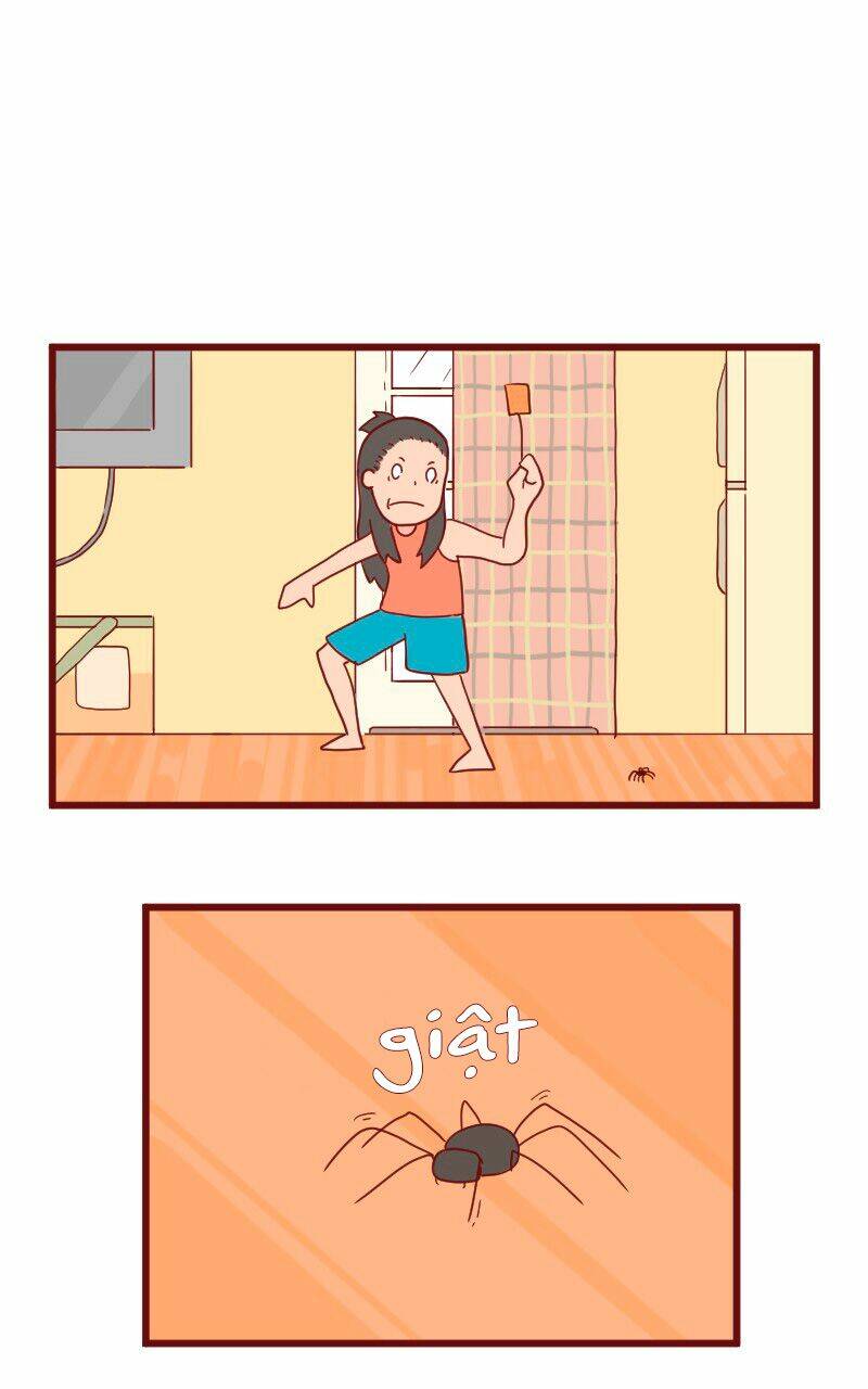 saphie: chú mèo một mắt chapter 17 2