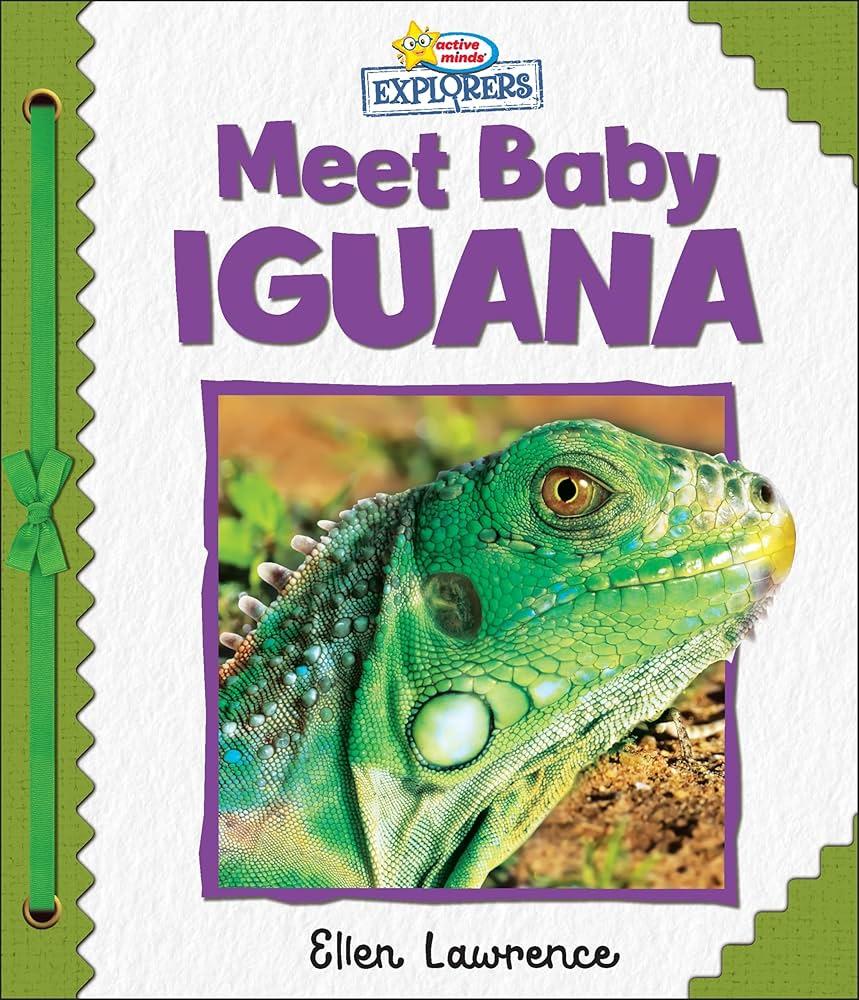 Sách ngoại văn: Active Minds Explorers - Meet Baby Iguana