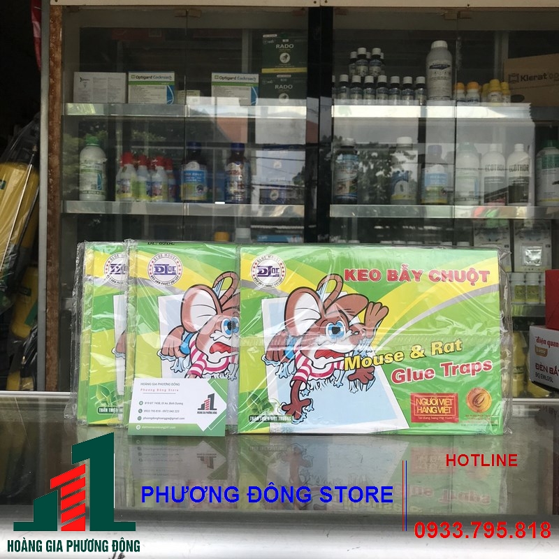 Keo dính chuột giấy