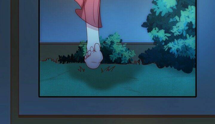 đô đốc đại nhân sủng thê kí chapter 2.5 29