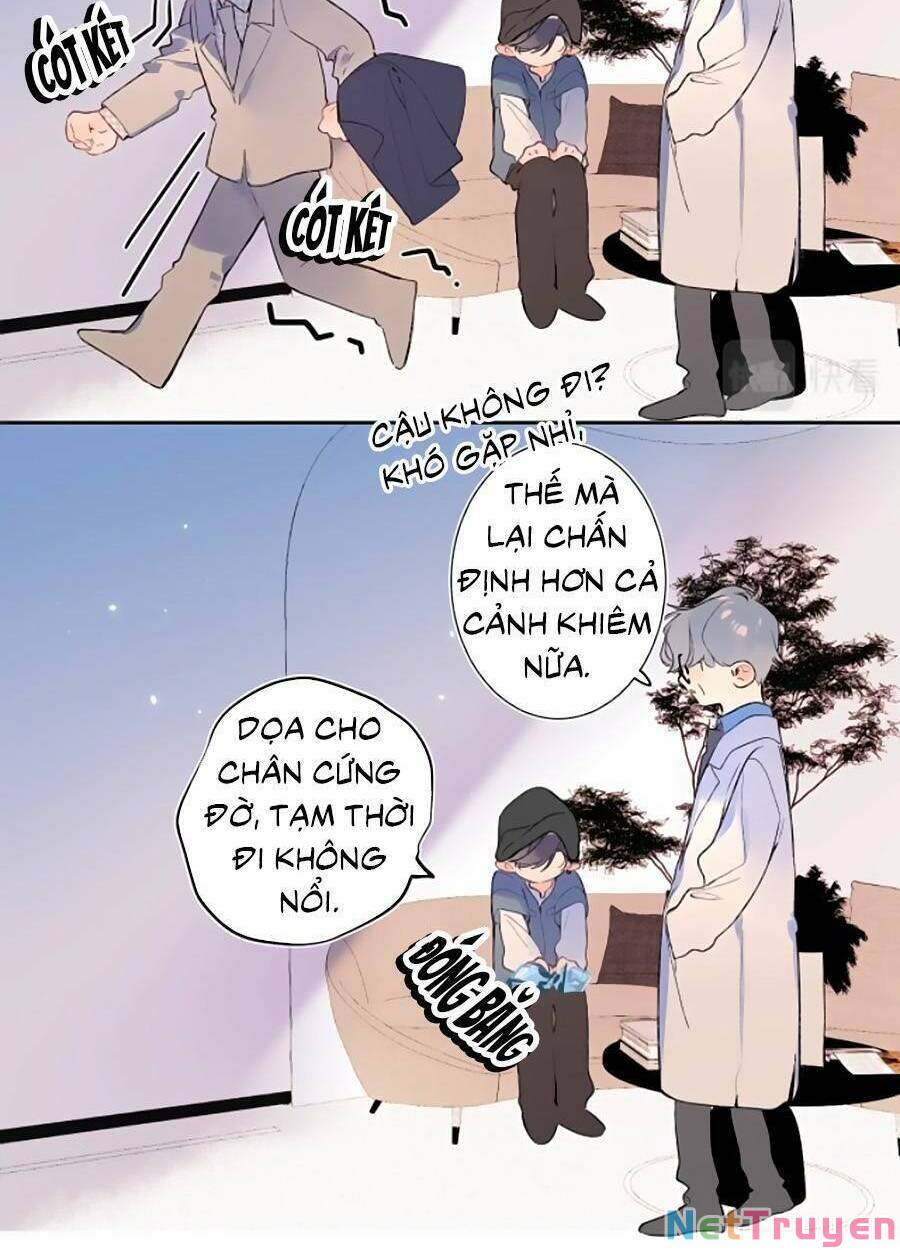 đừng khóc chapter 89 17