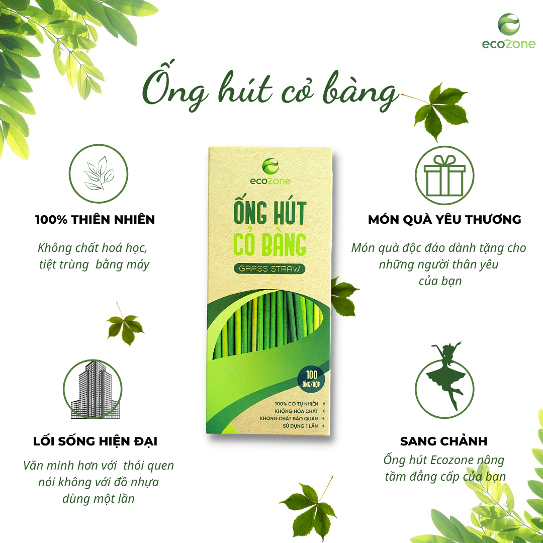 Ống Hút cỏ bàng khô Ecozone - Hộp 100 Ống cao cấp dài 20 cm