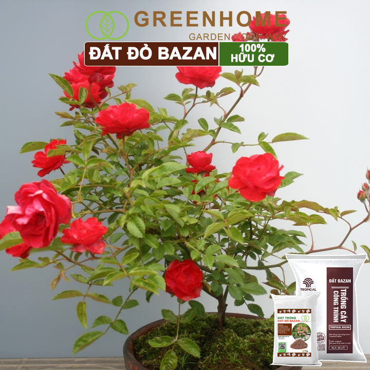 Đất Đỏ Bazan Greenhome, Bao 20 Lít (12kg), Đất Trồng Cây, Bổ Sung Phân Hữu Cơ, Vi Sinh Trồng Hoa Hồng, Kiểng Lá, Rau