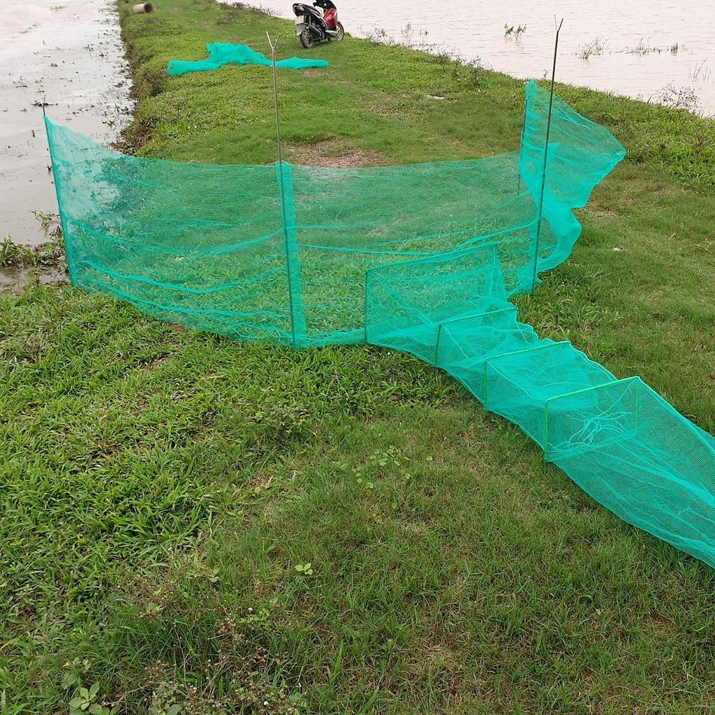 Hot Đăng chặn sông, cống - bắt tôm tép tất cả các loại cá - Dớn bắt cá, cua, lươn - Top1VN