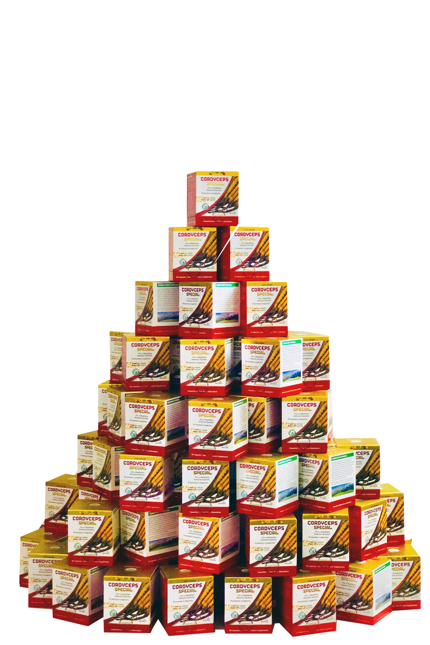 Thực Phẩm Chức Năng Đông Trùng Hạ Thảo Cordyceps Special