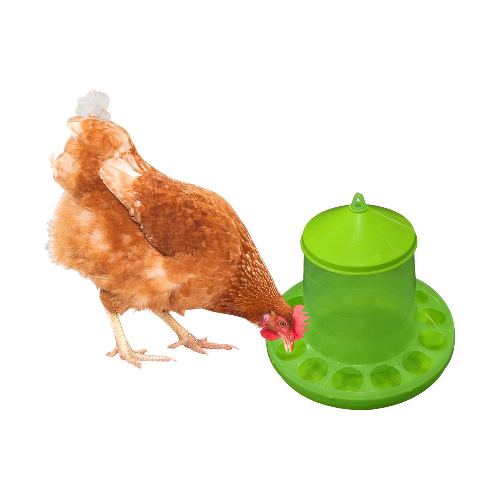 Chicken Feeder with Feeding Holes Hanging feed Dispenser Visible for Duck