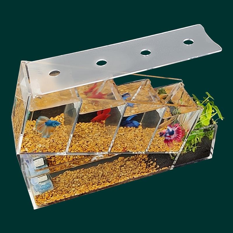Bể Cá Xô Sáng Tạo Bể Cá Nhỏ Acrylic Để Bàn Đa Ngăn Cách Ly Tự Tuần Hoàn Lọc Không Thay Nước Bể Sinh Thái