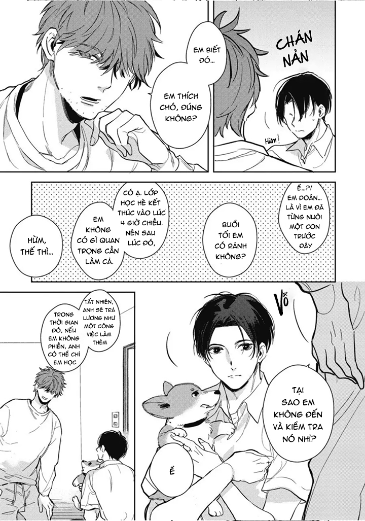 hàng xóm nhà bên chapter 1 17