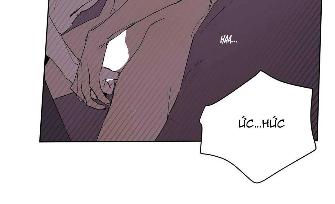 guide cấp b chapter 21 31