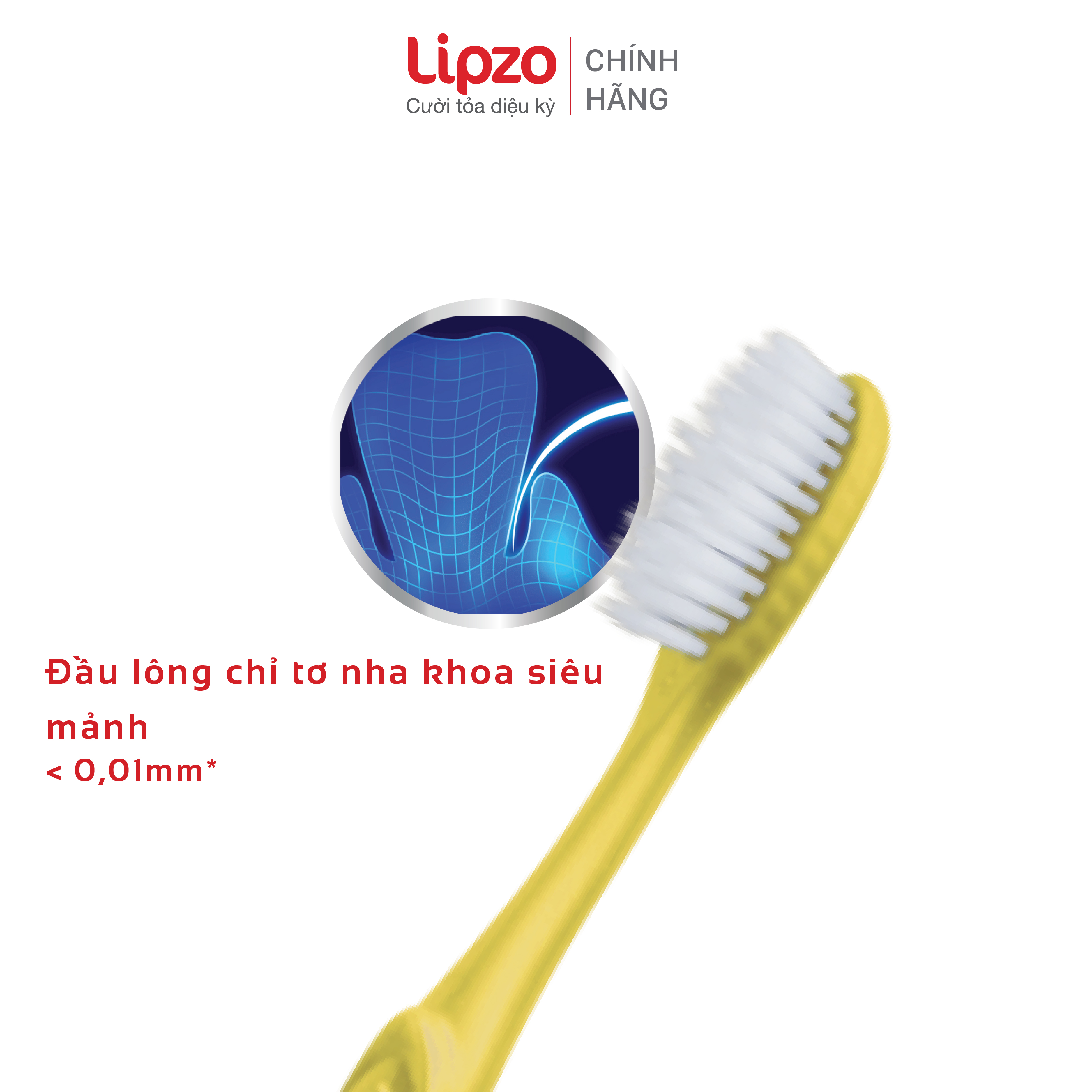 Bộ Ba Tiết Kiệm Bàn Chải Đánh Răng Lipzo Maxcare Cho Người Lớn Công Nghệ Lông Chỉ Tơ Nha Khoa Mảnh Siêu Bền