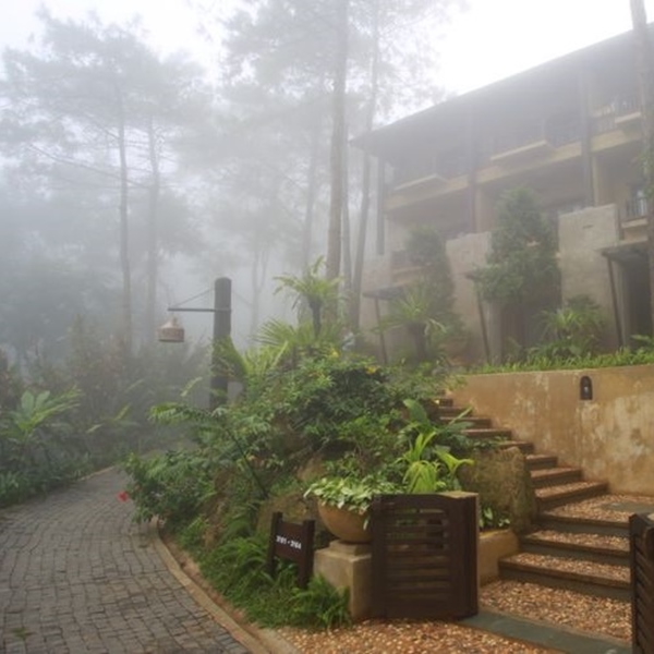 Voucher 2N1Đ Melia Ba Vì Mountain Retreat 5* - Không Gian Xanh Ngay Tại Hà Nội
