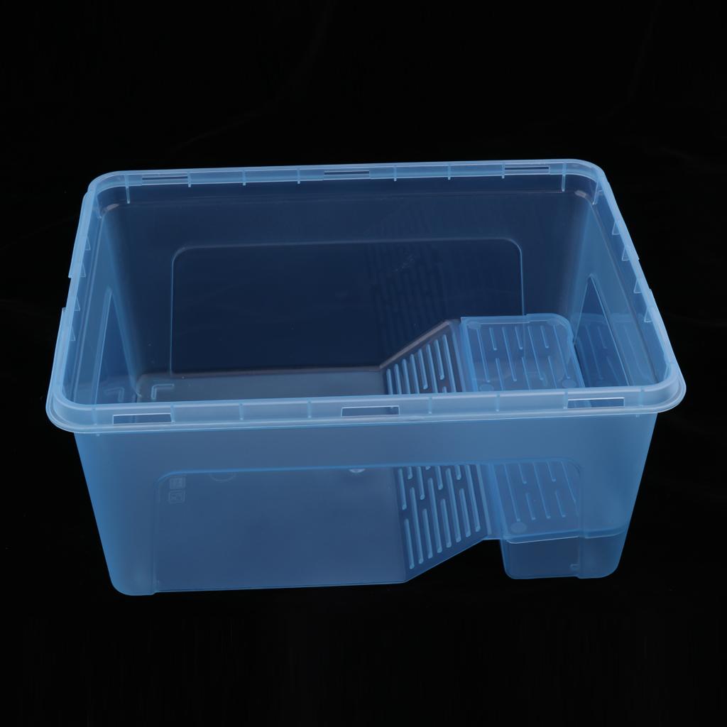 Reptile Turtle Tank Terrarium Aquarium with Ramp Platform Transparent