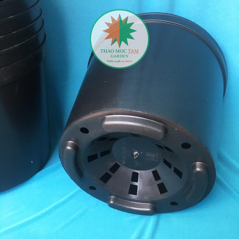 05c Chậu nhựa dày 28x24cm – Chậu nhựa cứng, dày, thích hợp trồng hoa hồng, cây cảnh