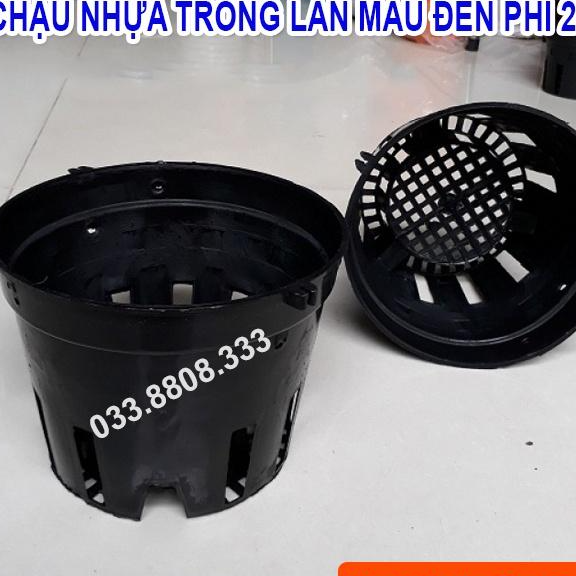 10 CHẬU NHỰA TRỒNG LAN PHI 21 - CHẬU BỀN ĐẸP. CHUYÊN TRỒNG LAN -VTNN - CTC