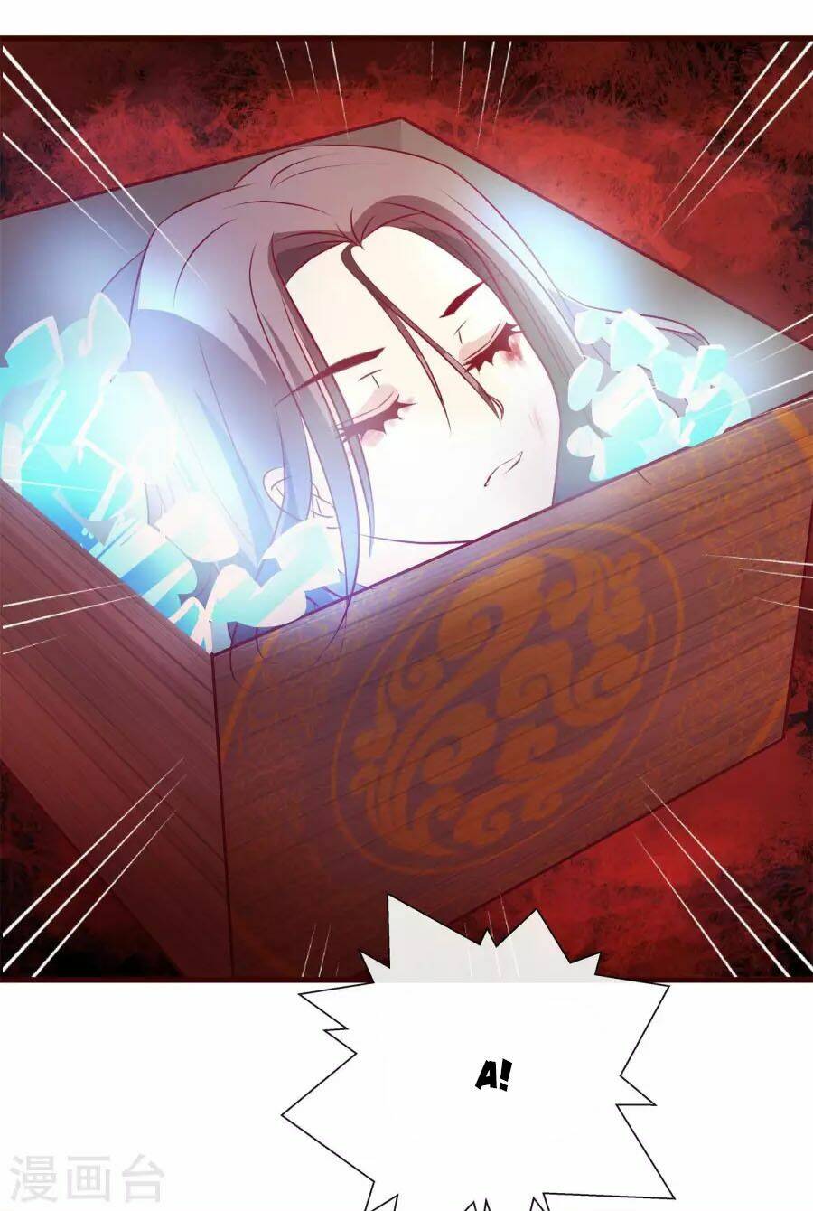 thỏ yêu tiểu vương phi chapter 20 28