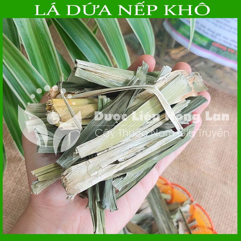 Lá Dứa nếp sấy lạnh khô 100gram