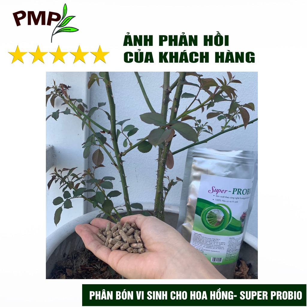 Combo Phân Hữu Cơ Cao Cấp Super Probio &amp; Giá Thể Bã Mía Cho Hoa Hồng, Rau Sạch, Cây Cảnh