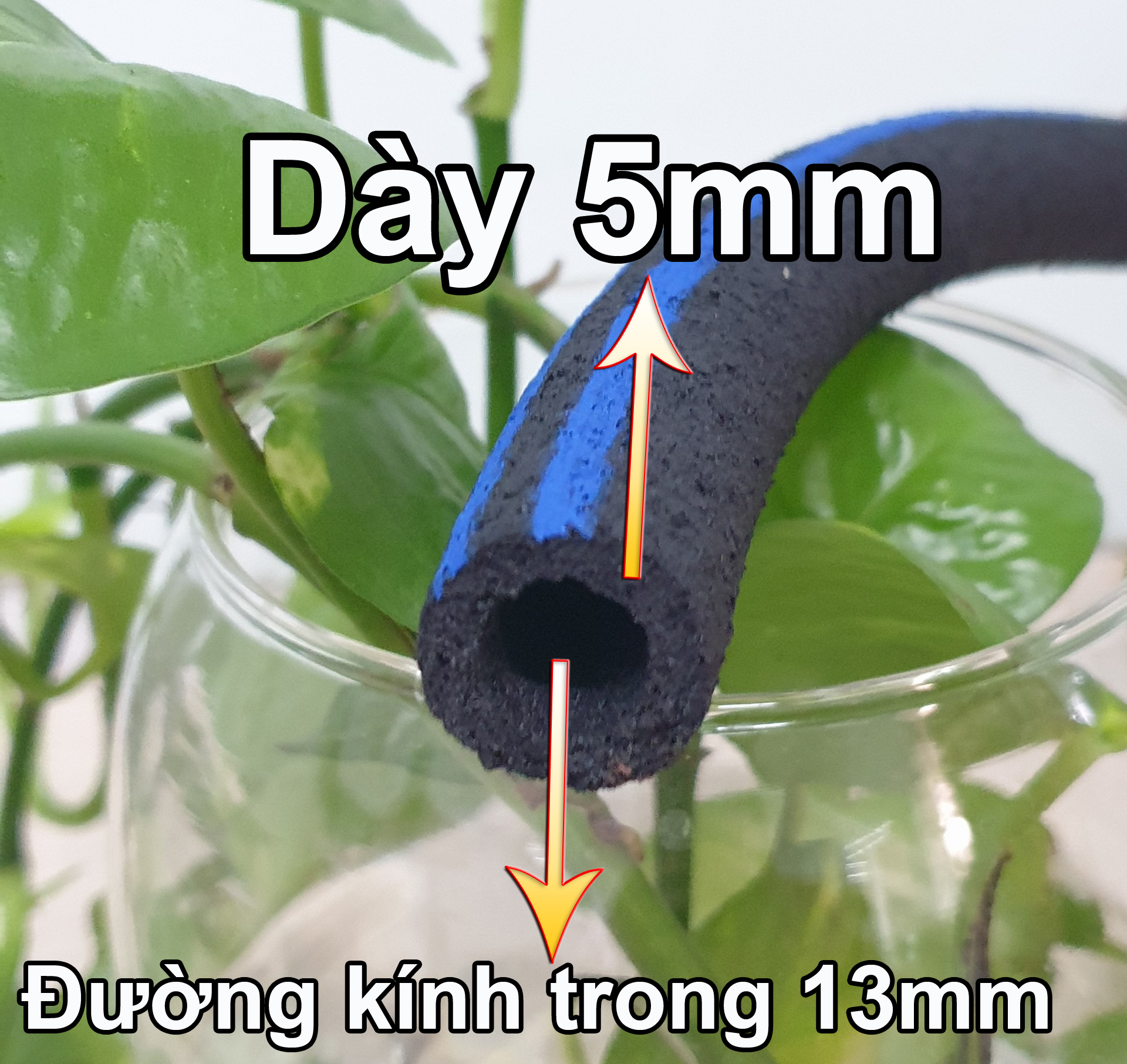 Ống Oxy nano tube 100m ống 20mm