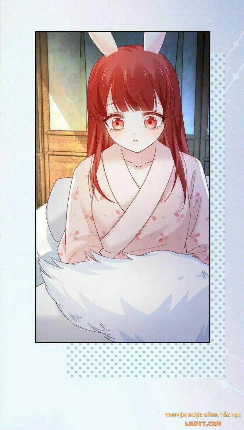 hắc hóa nam chính trực tuyến nuôi thỏ chapter 59 15