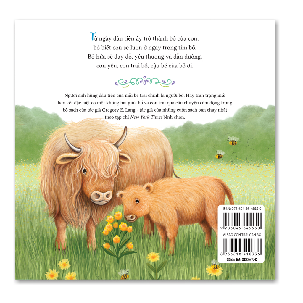 Sách - Vì Sao Con Trai Cần Bố - Tác giả Gregory E. Lang - Sách tranh