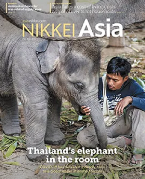 Nikkei Asia - 2022: THAILAND'S ELEPHANT IN THE ROOM - 14.22 tạp chí kinh tế nước ngoài, nhập khẩu từ Singapore