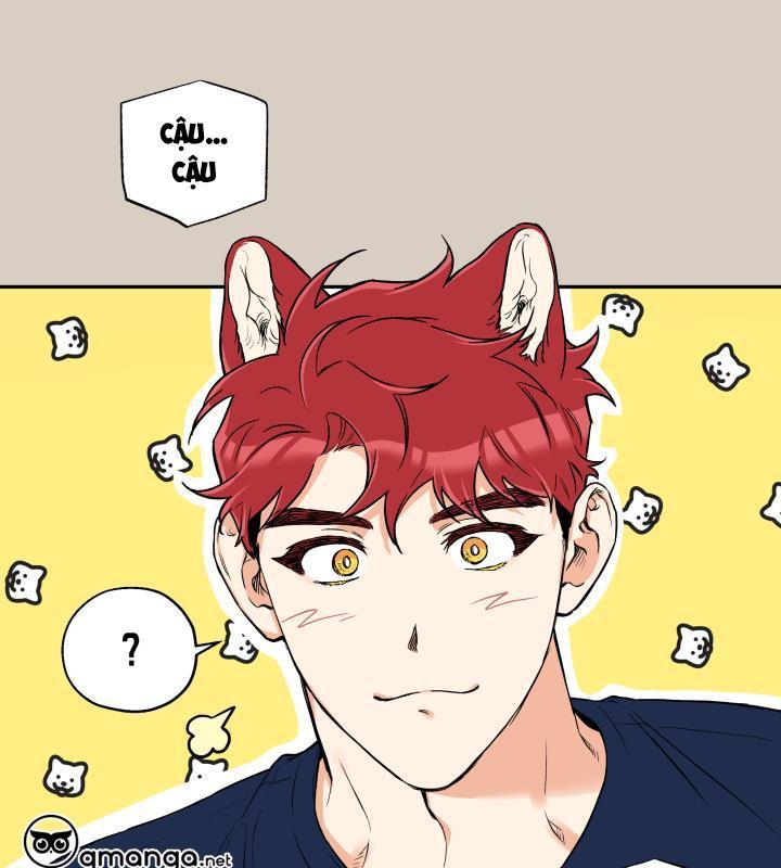 gâu gâu! chapter 33 35