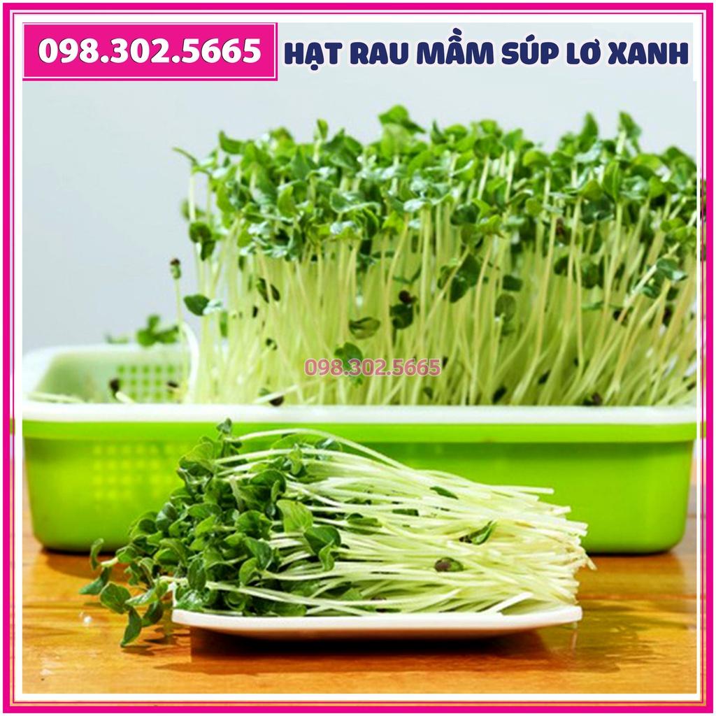 Hạt rau mầm rau súp lơ xanh - gói 20g - dễ nảy mầm, dễ chăm sóc